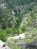 PICTURES/Walnut Canyon/t_Walnut Canyon - Path1.JPG